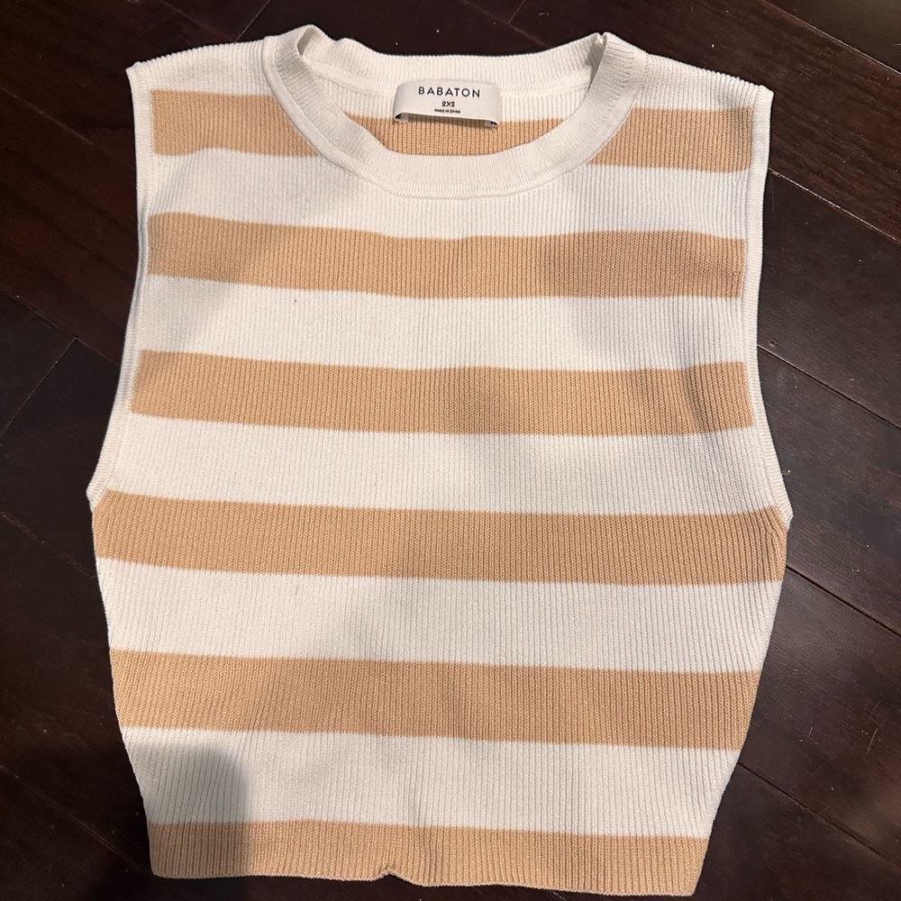 Striped Neutral Aritzia Top